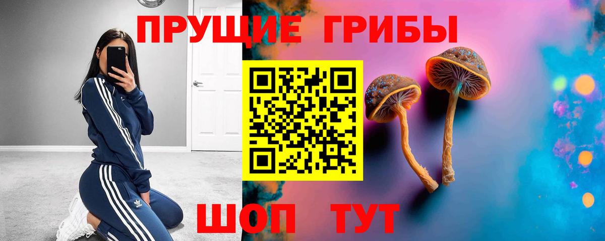 Галлюциногенные грибы прущие грибы Бирск