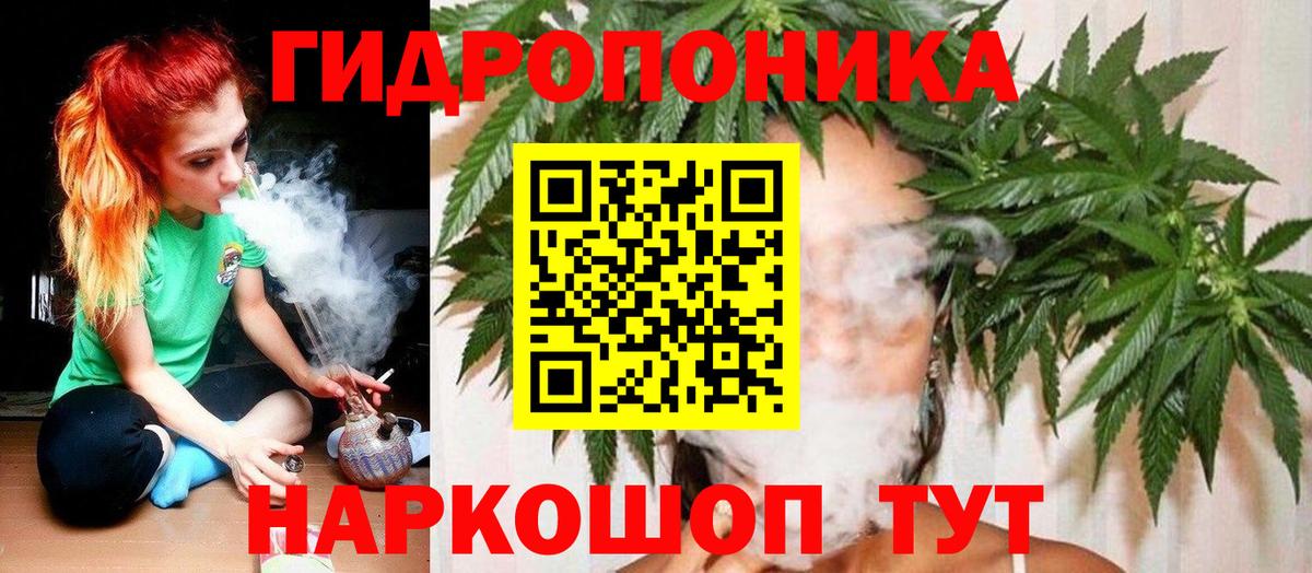 Конопля семена Бирск